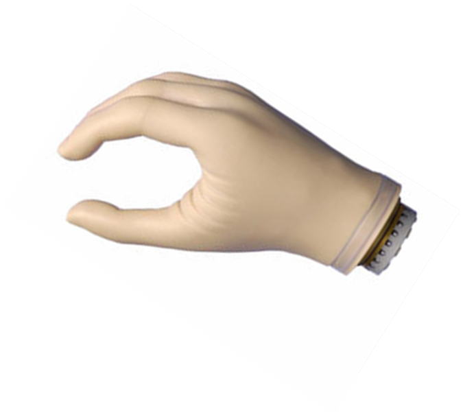 假肢價格如何進行區分假肢類型(圖1) 假肢價格如何進行區分假肢類型(圖1)